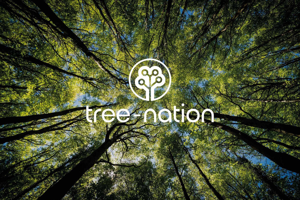 Copas de árboles vistas desde abajo con el logo de Tree-Nation